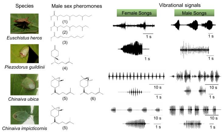 https://cdn.ncbi.nlm.nih.gov/pmc/blobs/f342/8705670/9d74dae70ac5/insects-12-01058-g002.jpg