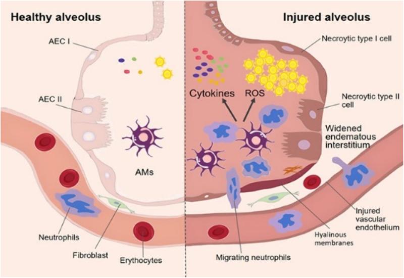https://cdn.ncbi.nlm.nih.gov/pmc/blobs/f344/11639474/a88c4453c4dd/KGMI_A_2440125_F0001_OC.jpg