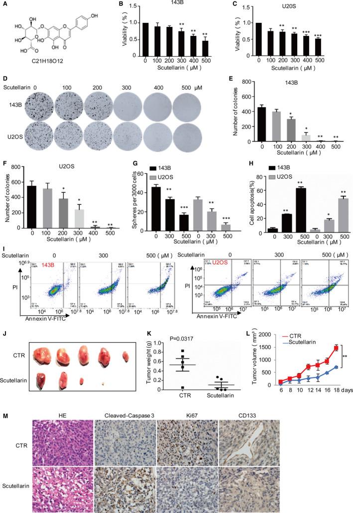 https://cdn.ncbi.nlm.nih.gov/pmc/blobs/f344/8419195/bbae1394788c/JCMM-25-8479-g005.jpg