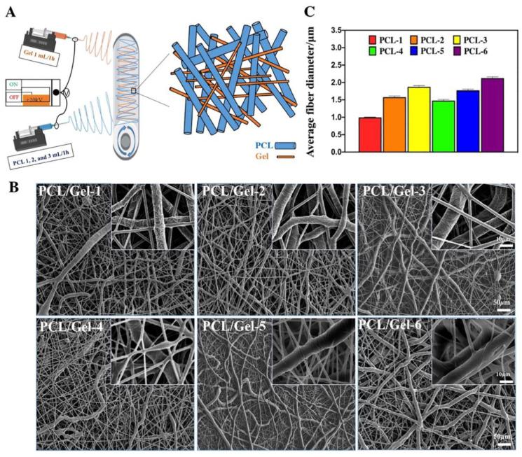 https://cdn.ncbi.nlm.nih.gov/pmc/blobs/f346/9919920/216cba75ffd5/polymers-15-00619-g003.jpg