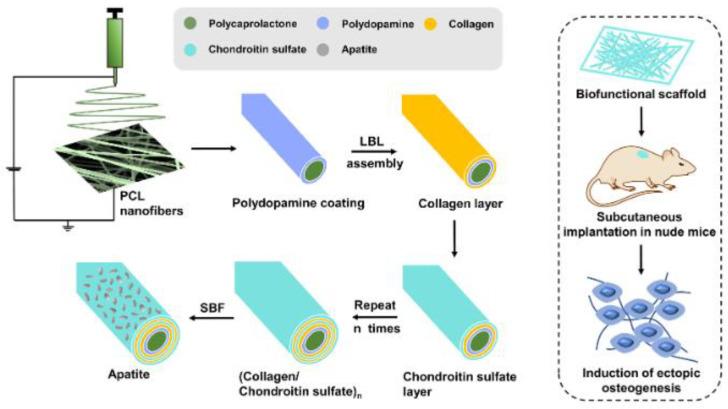 https://cdn.ncbi.nlm.nih.gov/pmc/blobs/f346/9919920/5ee8ddef4bc4/polymers-15-00619-g006.jpg