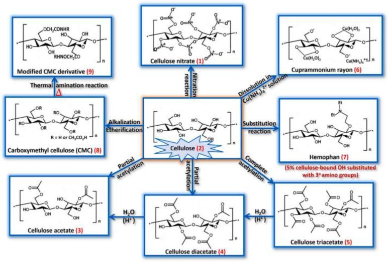 https://cdn.ncbi.nlm.nih.gov/pmc/blobs/f346/9919920/860d14028d2a/polymers-15-00619-g002.jpg