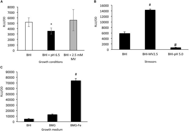 https://cdn.ncbi.nlm.nih.gov/pmc/blobs/f349/8264796/54f5ea391d60/fmicb-12-671533-g009.jpg