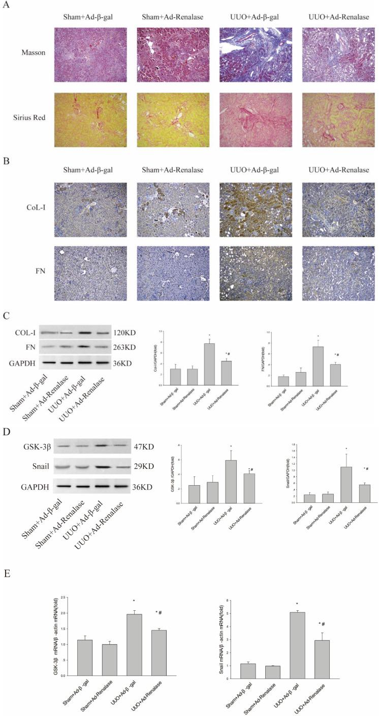 https://cdn.ncbi.nlm.nih.gov/pmc/blobs/f34b/10110476/0f9d3f7cea49/ijmsv20p0669g001.jpg