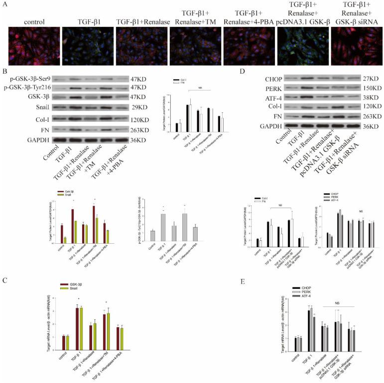 https://cdn.ncbi.nlm.nih.gov/pmc/blobs/f34b/10110476/b3dca124cc5c/ijmsv20p0669g006.jpg