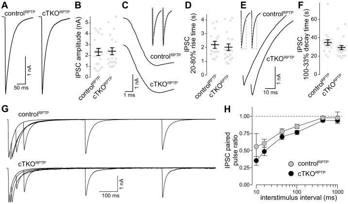https://cdn.ncbi.nlm.nih.gov/pmc/blobs/f34b/7963474/a2fb218d0cba/elife-66638-fig3.jpg