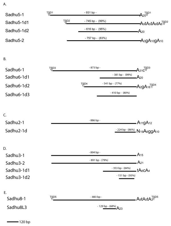 https://cdn.ncbi.nlm.nih.gov/pmc/blobs/f34c/2848041/1b6825f5901d/1759-8753-1-10-2.jpg
