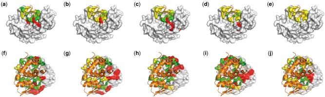 https://cdn.ncbi.nlm.nih.gov/pmc/blobs/f34e/10723037/cd9bc821abc5/btad718f5.jpg