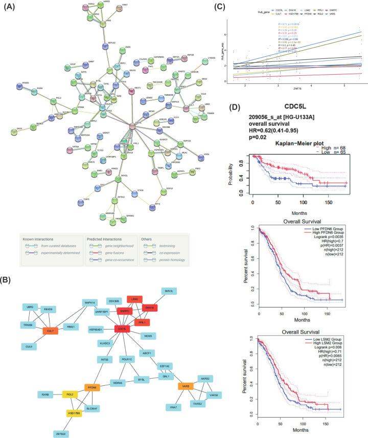 https://cdn.ncbi.nlm.nih.gov/pmc/blobs/f34e/8661506/a9aabaf5cb63/bsr-41-bsr20212026-g7.jpg