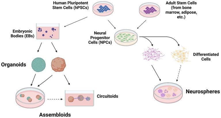 https://cdn.ncbi.nlm.nih.gov/pmc/blobs/f34e/9310295/4726dd5e7554/10.1177_20417314221113391-fig1.jpg