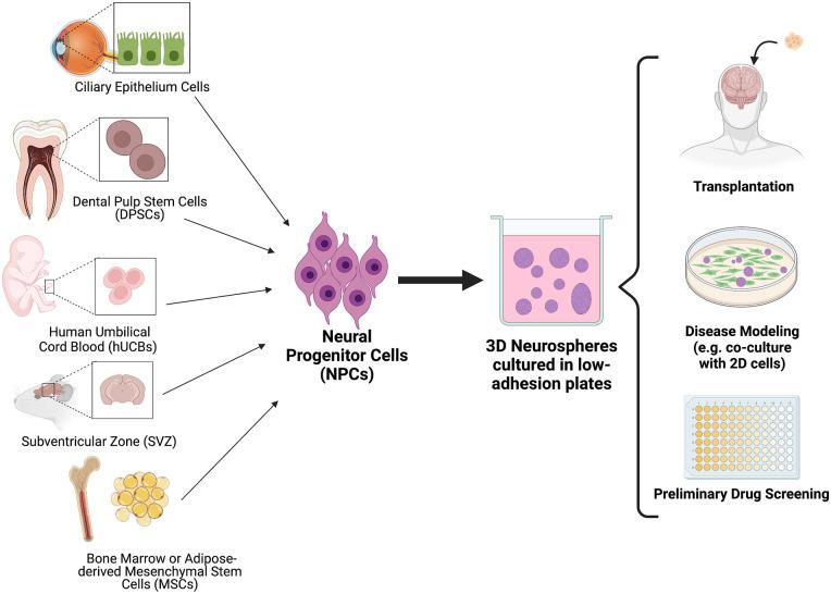 https://cdn.ncbi.nlm.nih.gov/pmc/blobs/f34e/9310295/c5a975294b0b/10.1177_20417314221113391-fig2.jpg