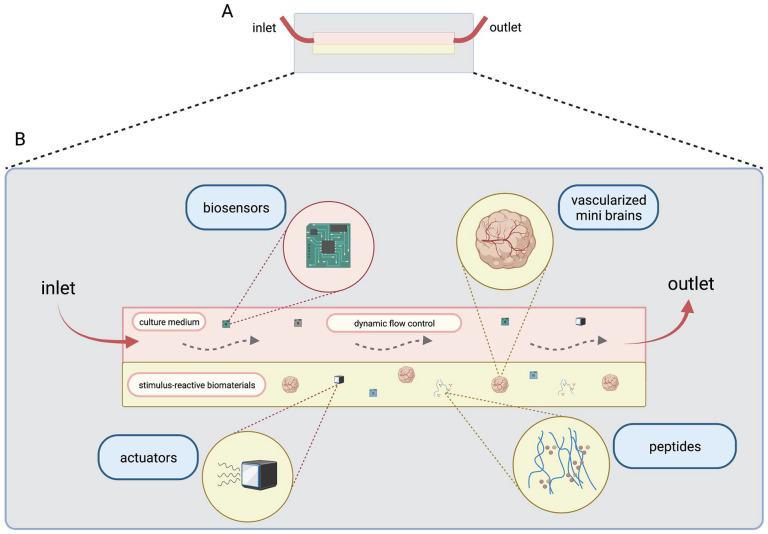 https://cdn.ncbi.nlm.nih.gov/pmc/blobs/f34e/9310295/eabed79cbfe9/10.1177_20417314221113391-fig5.jpg
