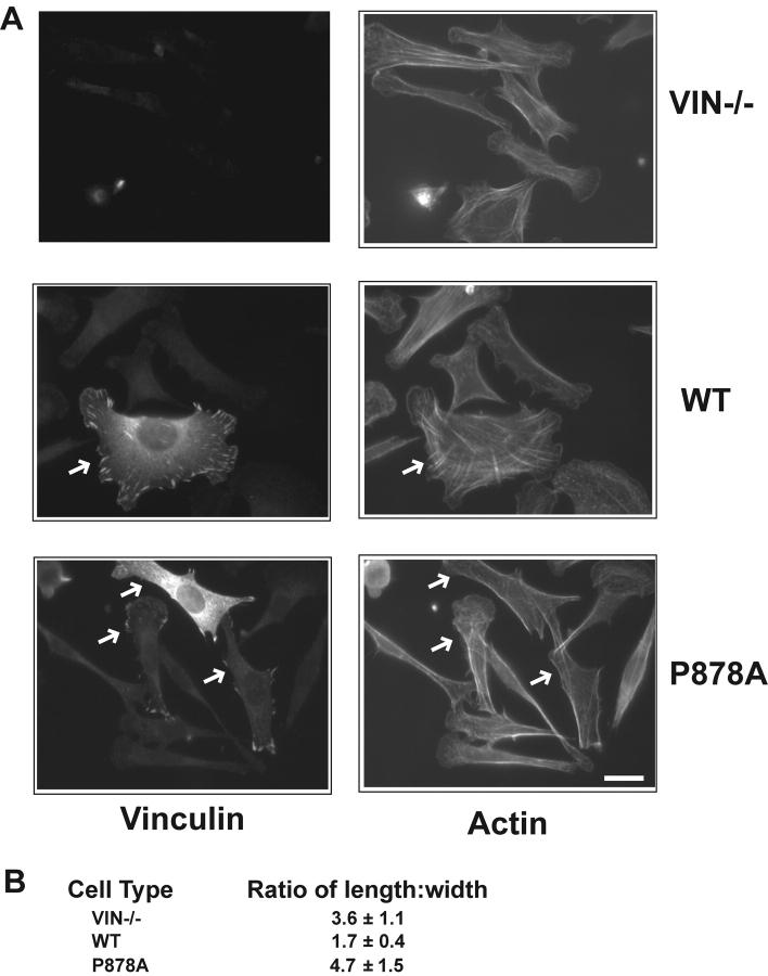https://cdn.ncbi.nlm.nih.gov/pmc/blobs/f350/2173392/45f9d48135a0/200206043f8.jpg