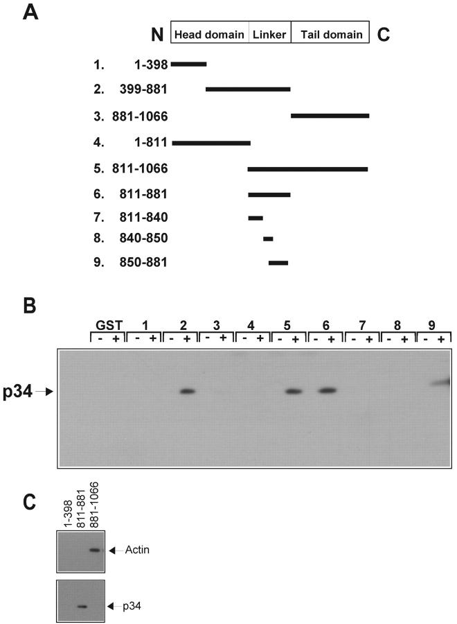 https://cdn.ncbi.nlm.nih.gov/pmc/blobs/f350/2173392/bd8cb5db81c8/200206043f6ac.jpg