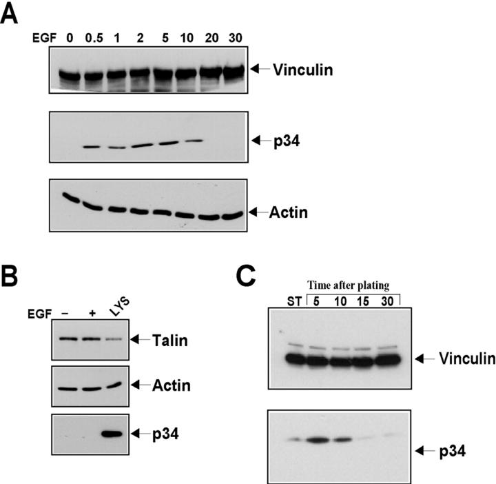 https://cdn.ncbi.nlm.nih.gov/pmc/blobs/f350/2173392/c8dd2abe75ff/200206043f1.jpg
