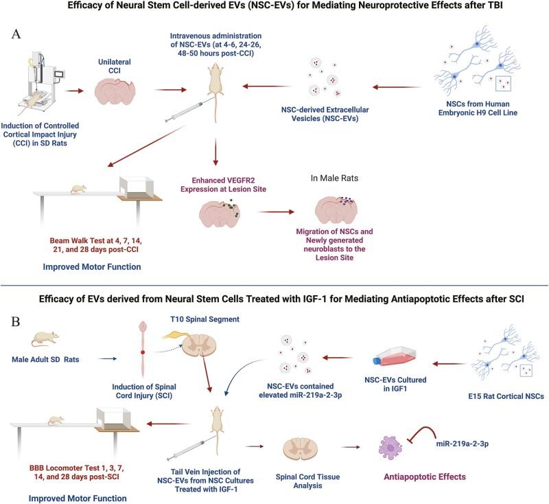 https://cdn.ncbi.nlm.nih.gov/pmc/blobs/f353/10021503/3bd5fd03800e/szad004f0001.jpg