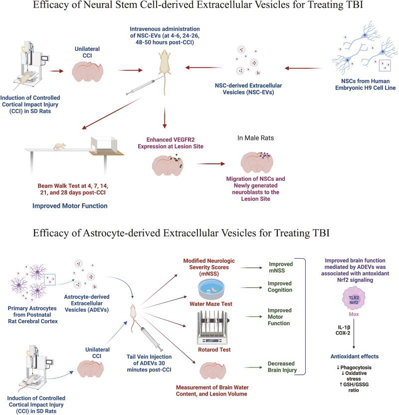 https://cdn.ncbi.nlm.nih.gov/pmc/blobs/f353/10021503/776bb7009884/szad004f0004.jpg
