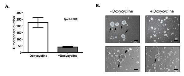 https://cdn.ncbi.nlm.nih.gov/pmc/blobs/f356/4053103/ceb00427797e/bcr3321-7.jpg