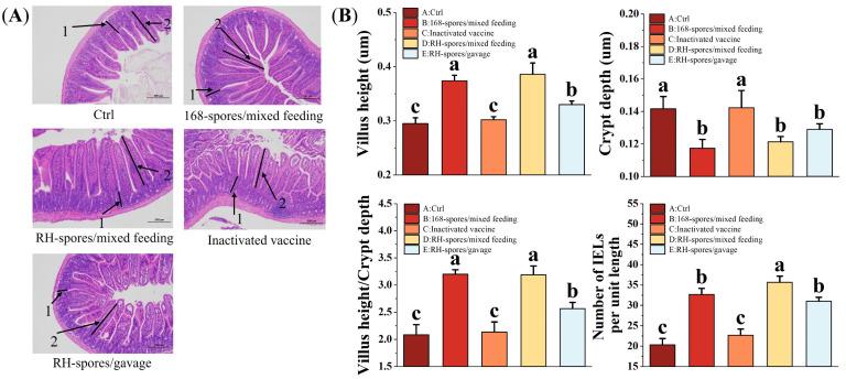 https://cdn.ncbi.nlm.nih.gov/pmc/blobs/f359/10972176/e3b59dee45e2/microorganisms-12-00439-g008.jpg