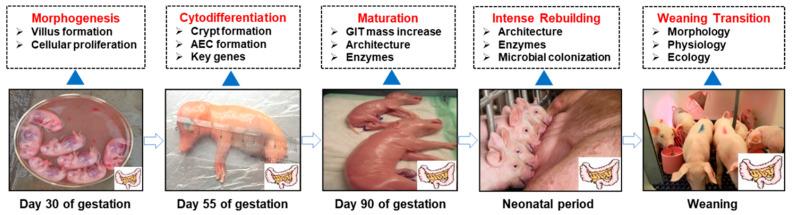 https://cdn.ncbi.nlm.nih.gov/pmc/blobs/f35e/12114570/ace78bab99bd/microorganisms-13-01151-g001.jpg