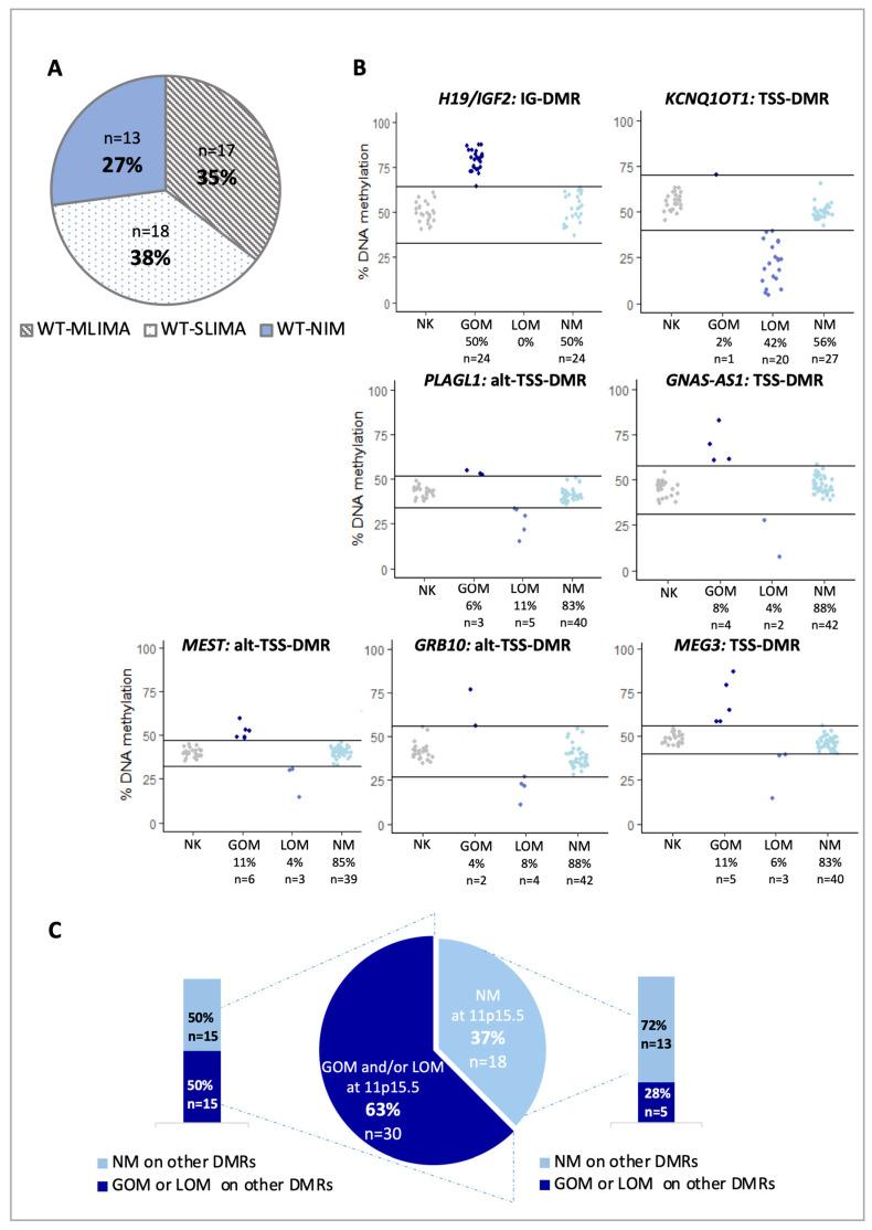 https://cdn.ncbi.nlm.nih.gov/pmc/blobs/f360/7698742/1b3990f5a109/cancers-12-03411-g001.jpg
