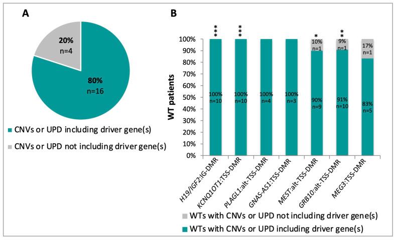 https://cdn.ncbi.nlm.nih.gov/pmc/blobs/f360/7698742/4e3e2eb1a0dc/cancers-12-03411-g005.jpg