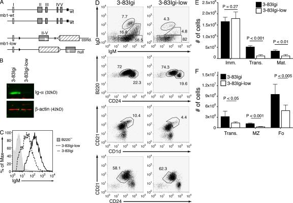 https://cdn.ncbi.nlm.nih.gov/pmc/blobs/f363/2839140/d96a7a312e50/JEM_20091673_RGB_Fig1.jpg