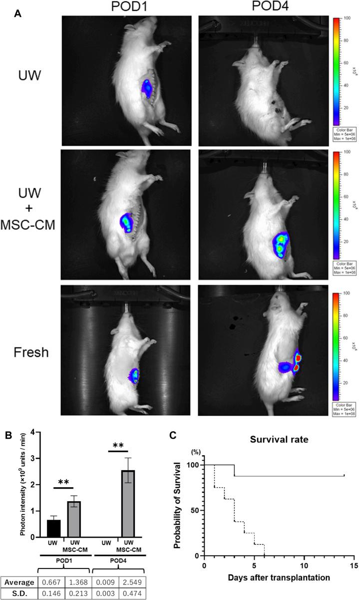 https://cdn.ncbi.nlm.nih.gov/pmc/blobs/f364/11219629/c99bdff5c945/ti-37-11336-g004.jpg