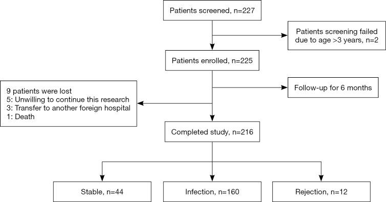 https://cdn.ncbi.nlm.nih.gov/pmc/blobs/f364/7944184/48d8a84ba376/tp-10-02-333-f1.jpg