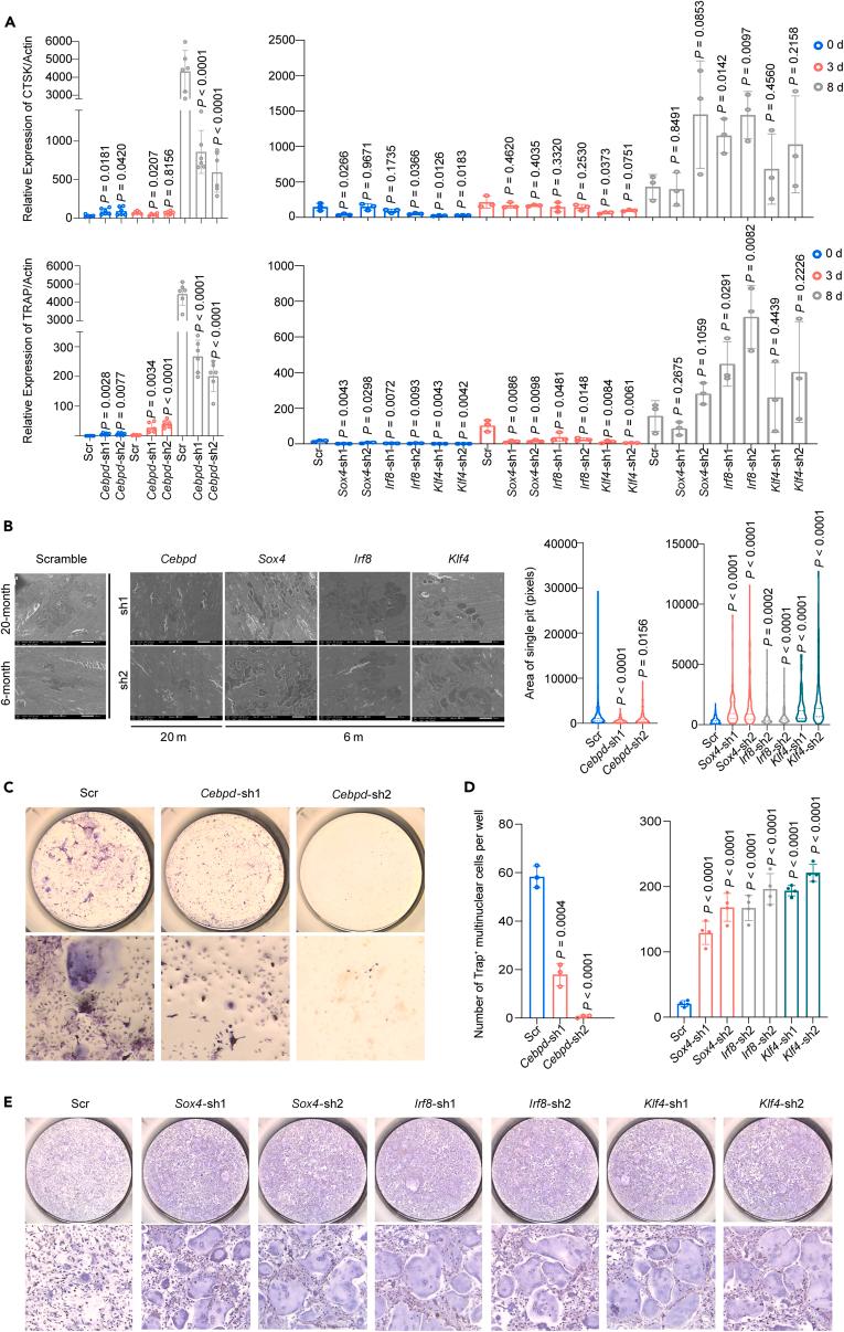 https://cdn.ncbi.nlm.nih.gov/pmc/blobs/f365/11401210/aca0ada3bcfe/gr7.jpg