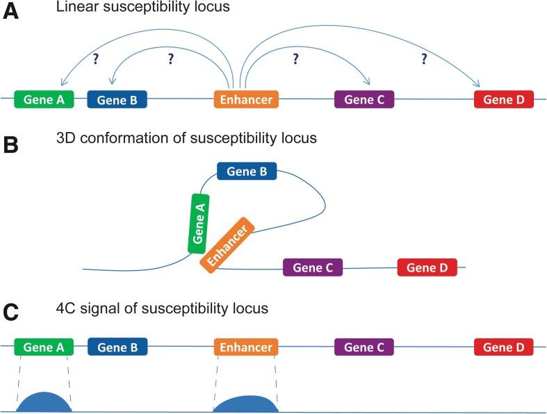https://cdn.ncbi.nlm.nih.gov/pmc/blobs/f367/5131449/c40cd17b3103/13059_2016_1100_Fig1_HTML.jpg