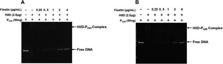 https://cdn.ncbi.nlm.nih.gov/pmc/blobs/f368/10783070/603eaf884f15/spectrum.02406-23.f007.jpg