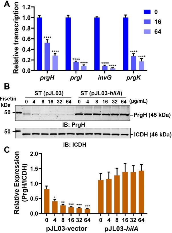 https://cdn.ncbi.nlm.nih.gov/pmc/blobs/f368/10783070/f9d9b049d57d/spectrum.02406-23.f006.jpg