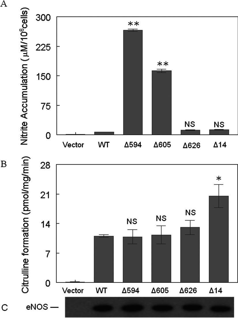 https://cdn.ncbi.nlm.nih.gov/pmc/blobs/f369/4122979/c2df934fb64d/bsr2014-0079i003.jpg