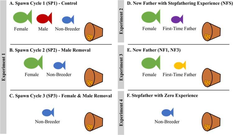 https://cdn.ncbi.nlm.nih.gov/pmc/blobs/f36a/7067848/072b1dd3c910/41598_2020_61537_Fig1_HTML.jpg