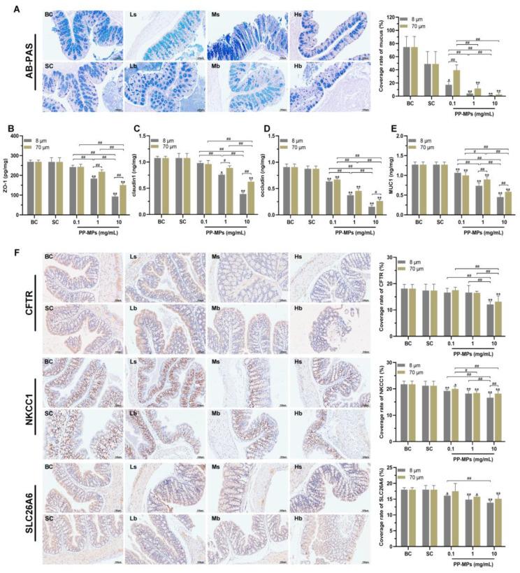 https://cdn.ncbi.nlm.nih.gov/pmc/blobs/f36d/9962291/ed2df53eccca/toxics-11-00127-g005.jpg