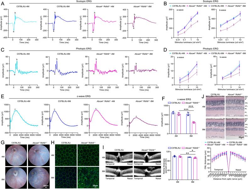 https://cdn.ncbi.nlm.nih.gov/pmc/blobs/f36e/12178930/193f7c9caa22/gr2.jpg