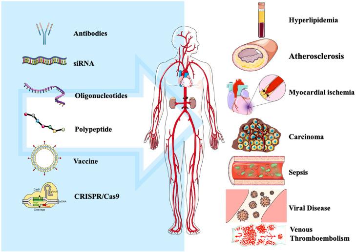 https://cdn.ncbi.nlm.nih.gov/pmc/blobs/f36e/9562883/b369707f4b6e/cells-11-02972-g002.jpg
