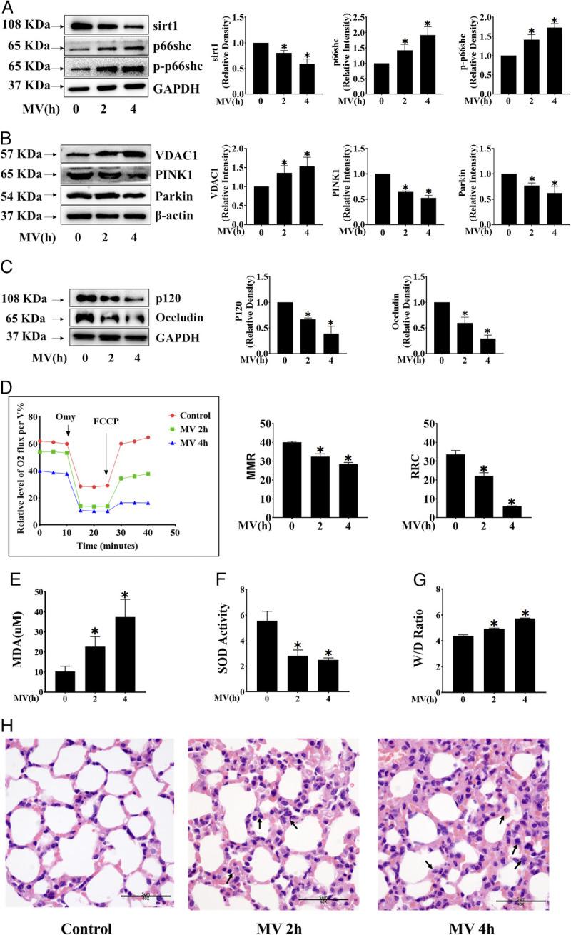https://cdn.ncbi.nlm.nih.gov/pmc/blobs/f370/10487353/0dd0704cc794/msse-55-1770-g001.jpg