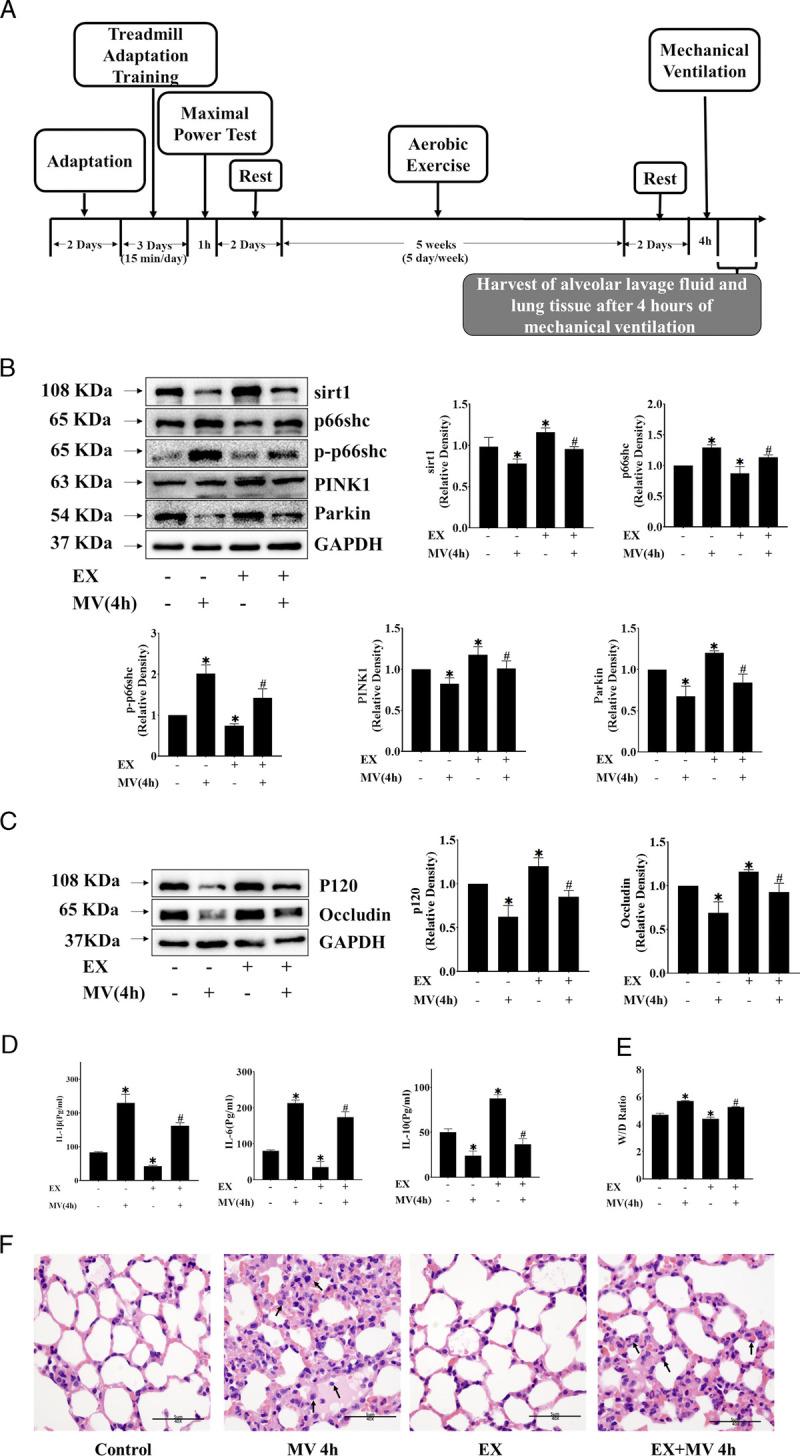 https://cdn.ncbi.nlm.nih.gov/pmc/blobs/f370/10487353/671f7f8932ef/msse-55-1770-g002.jpg