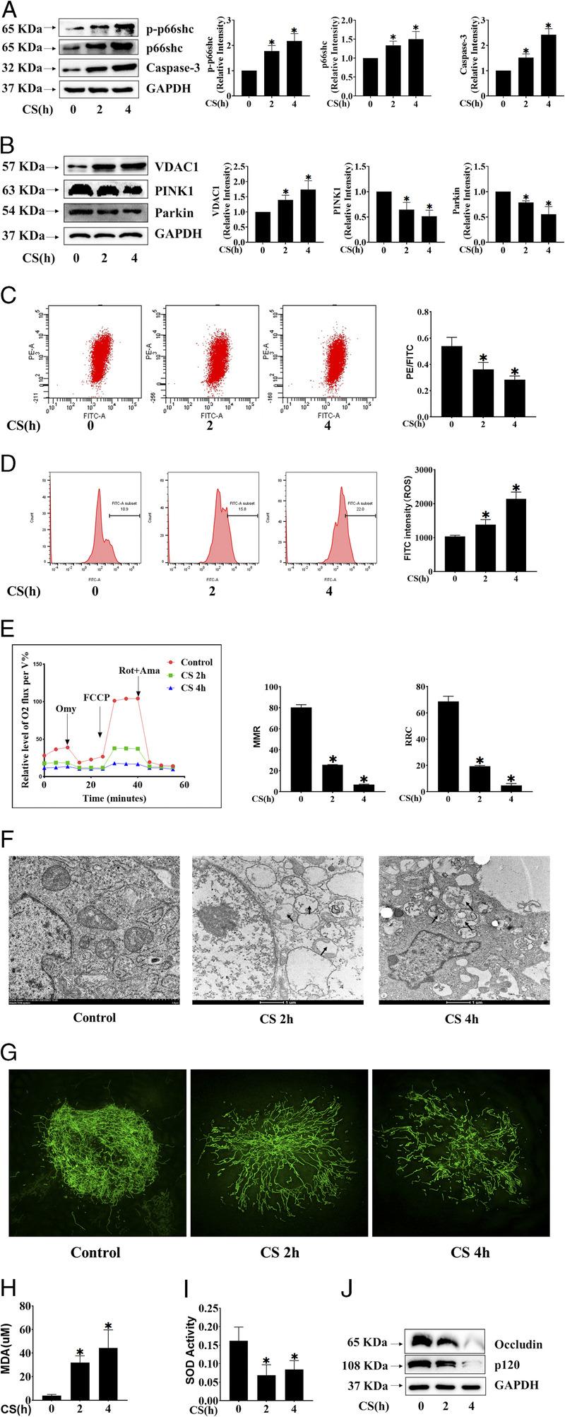 https://cdn.ncbi.nlm.nih.gov/pmc/blobs/f370/10487353/d5e714faf886/msse-55-1770-g003.jpg