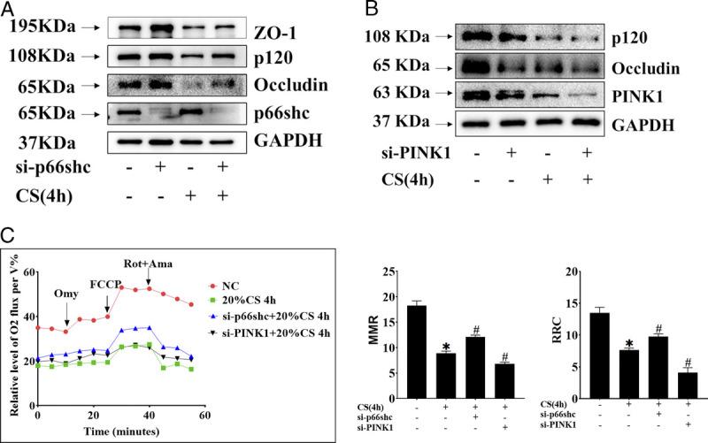 https://cdn.ncbi.nlm.nih.gov/pmc/blobs/f370/10487353/f1e370b6328a/msse-55-1770-g005.jpg