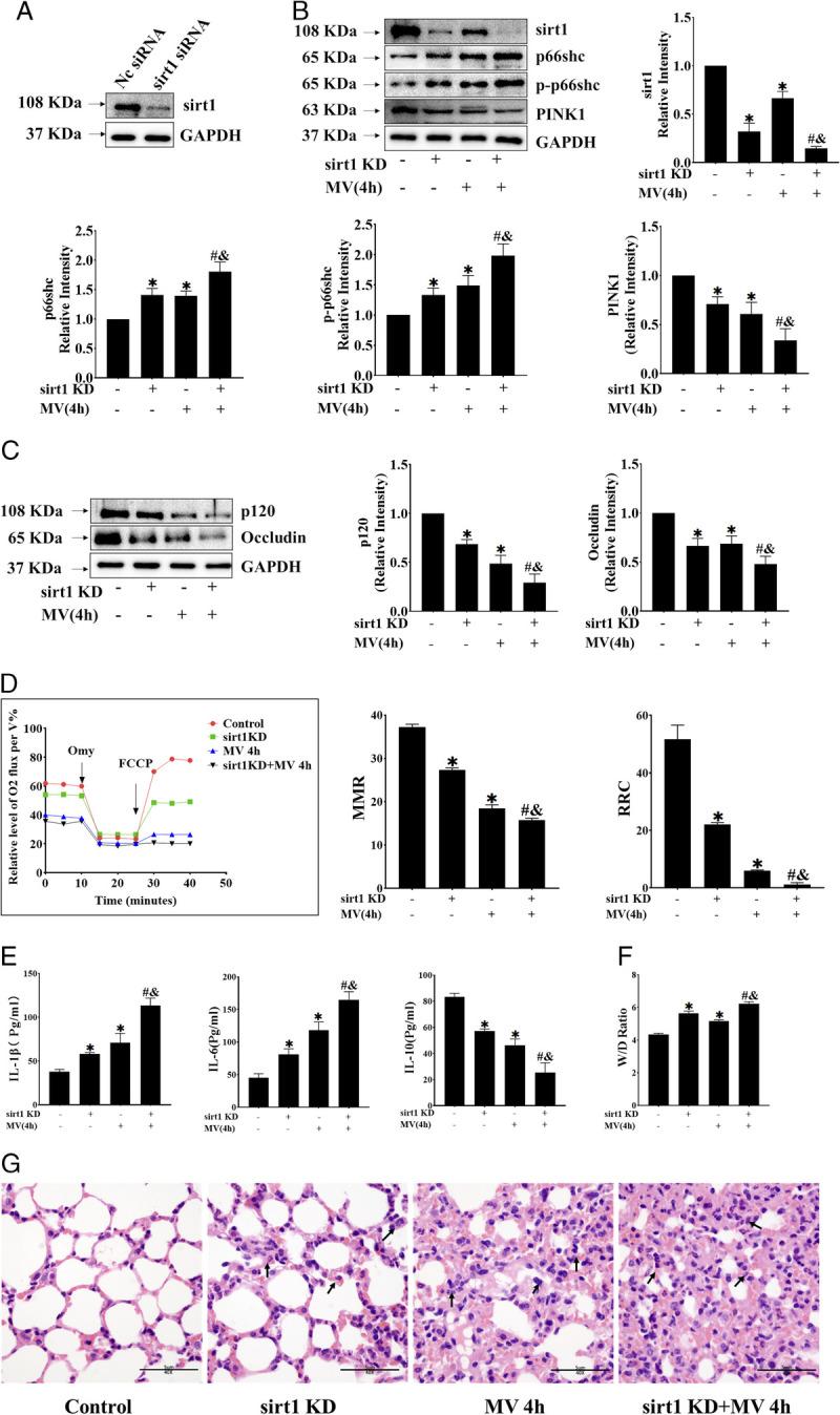 https://cdn.ncbi.nlm.nih.gov/pmc/blobs/f370/10487353/f2997f76825d/msse-55-1770-g006.jpg