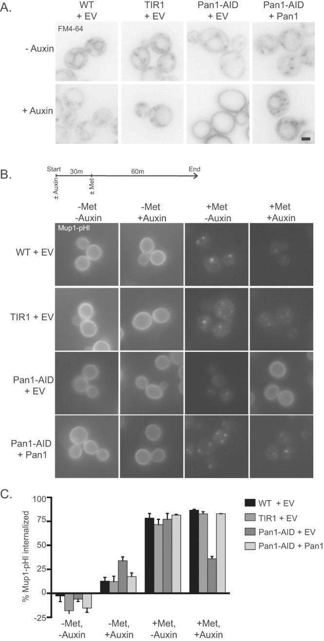 https://cdn.ncbi.nlm.nih.gov/pmc/blobs/f371/4454182/d2b04925d80a/1371fig2.jpg