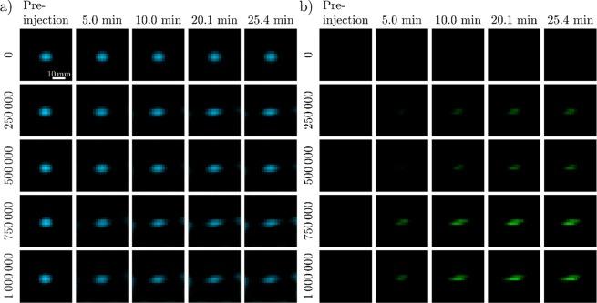 https://cdn.ncbi.nlm.nih.gov/pmc/blobs/f373/7002802/d63928a50f05/41598_2020_58853_Fig2_HTML.jpg