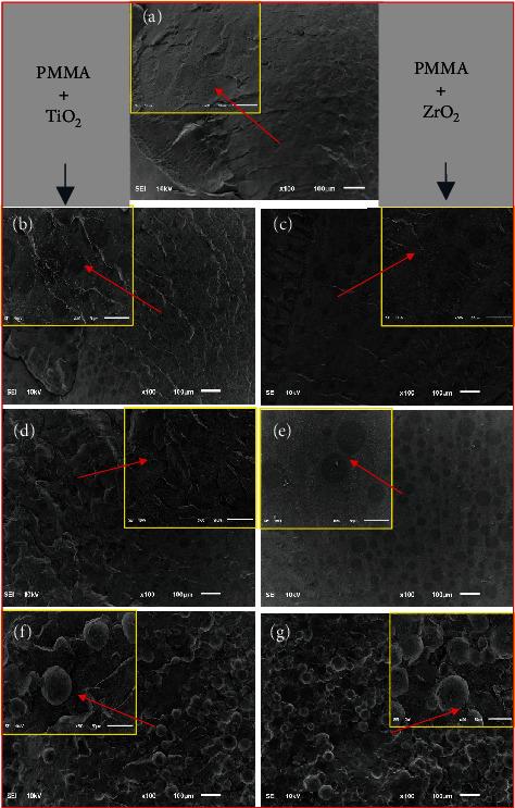 https://cdn.ncbi.nlm.nih.gov/pmc/blobs/f377/9417768/a17a8a73d7b3/BMRI2022-1743019.007.jpg