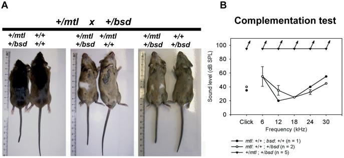 https://cdn.ncbi.nlm.nih.gov/pmc/blobs/f378/3511360/e8eafe1e9fde/pone.0051065.g002.jpg