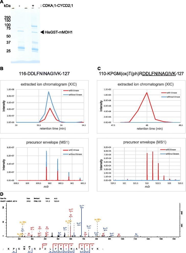https://cdn.ncbi.nlm.nih.gov/pmc/blobs/f379/5037886/36e1a7e1e2db/12870_2016_900_Fig7_HTML.jpg