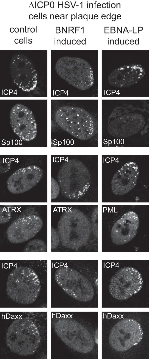 https://cdn.ncbi.nlm.nih.gov/pmc/blobs/f379/5068519/14ee7292971d/zjv9991820440005.jpg