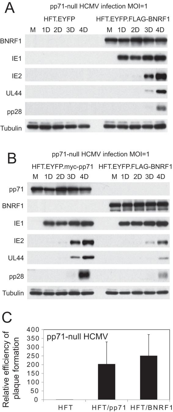 https://cdn.ncbi.nlm.nih.gov/pmc/blobs/f379/5068519/758dbc73ab11/zjv9991820440006.jpg
